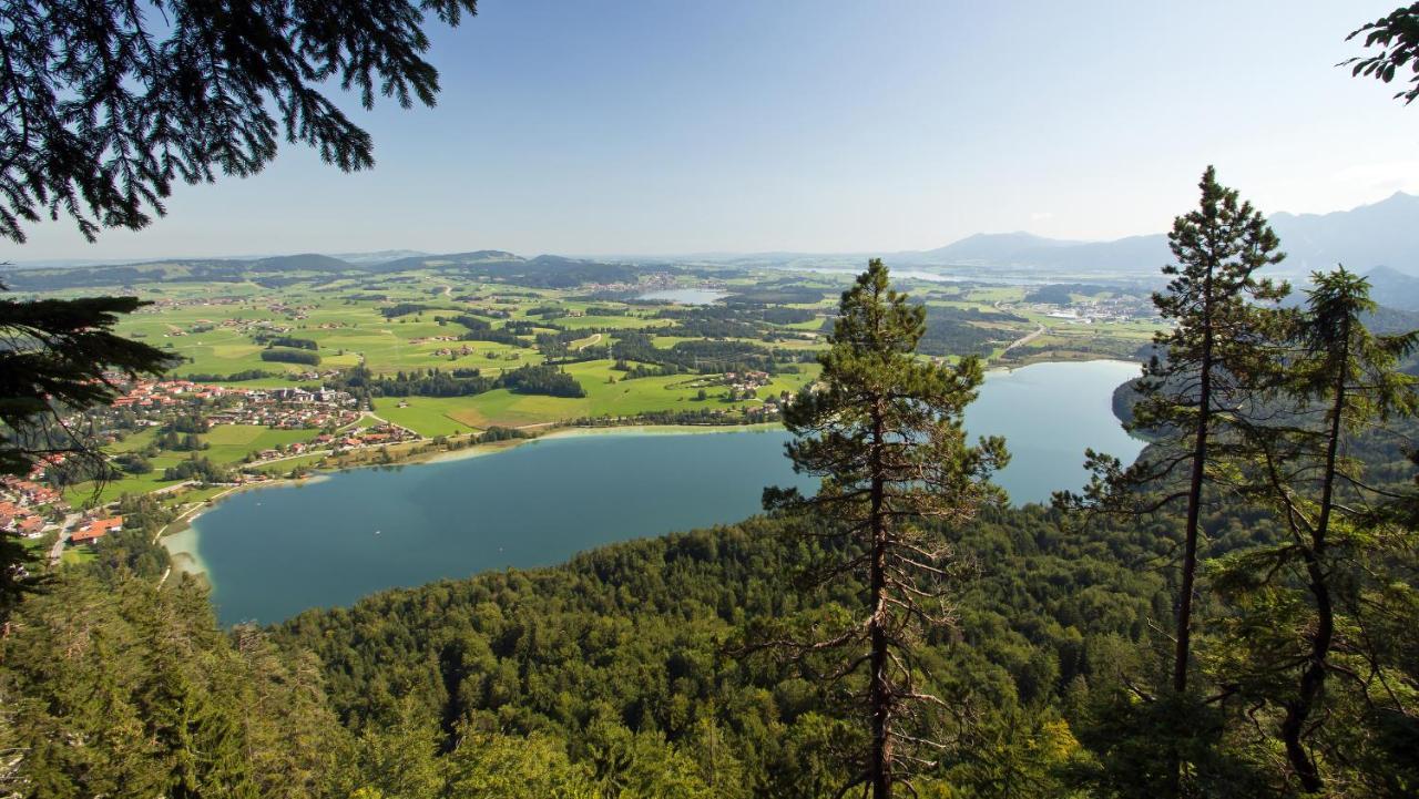 Brenner Appartement *